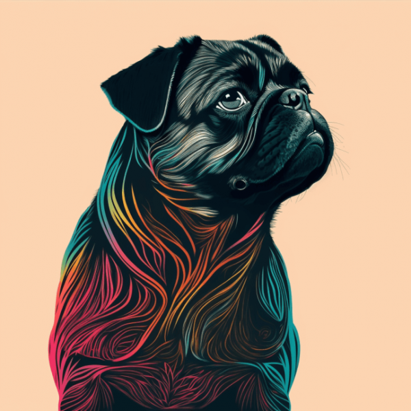 pug_Dog_colorful_illustration(1)